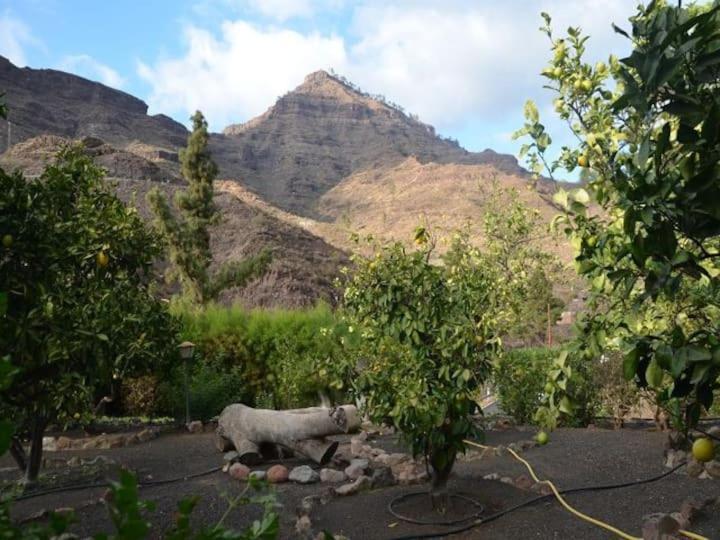 شقة Casa Colonia Mogán المظهر الخارجي الصورة