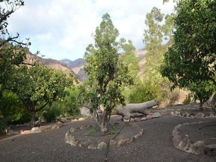 شقة Casa Colonia Mogán المظهر الخارجي الصورة