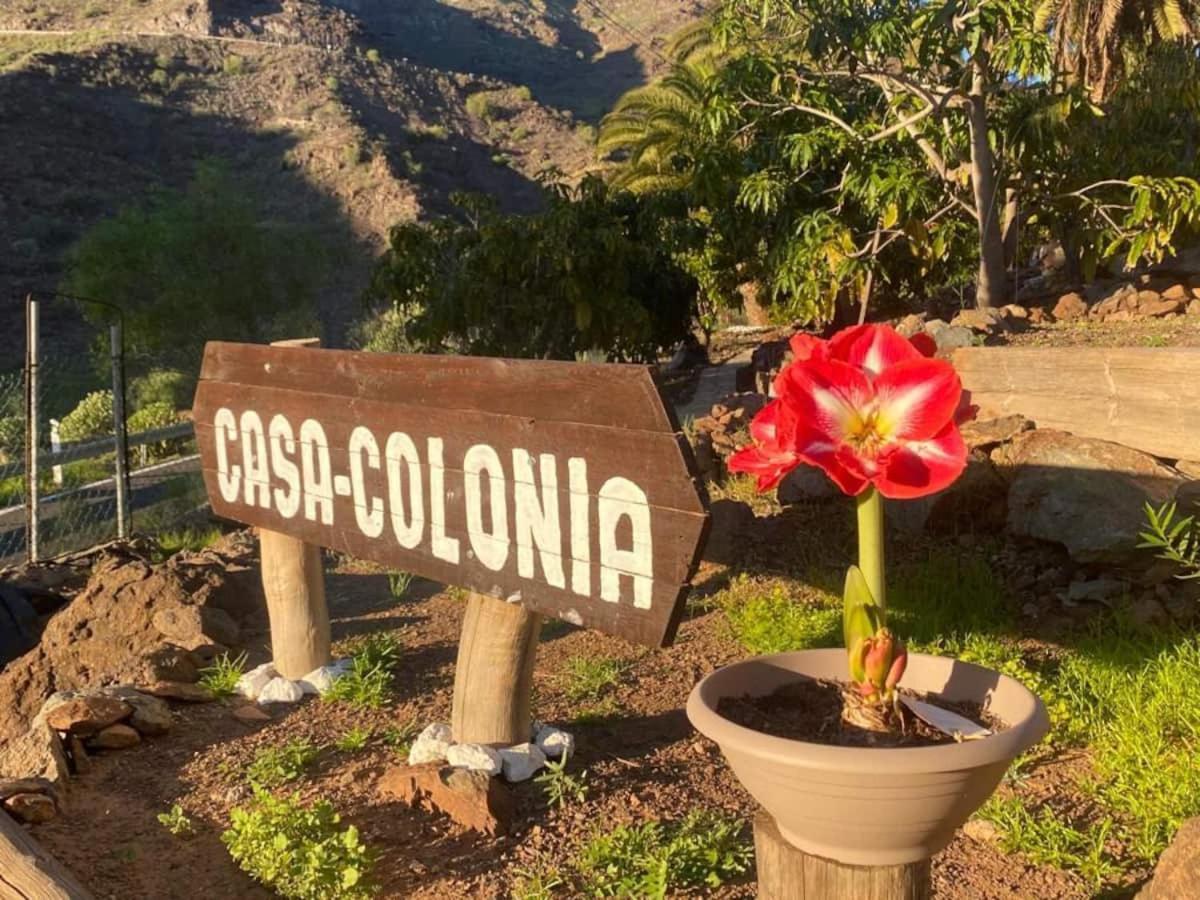 شقة Casa Colonia Mogán المظهر الخارجي الصورة